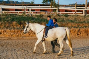 terapia con animales